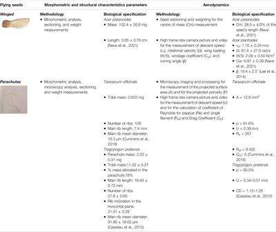 Morphological Computation in Plant Seeds for a New Generation of Self-Burial and Flying Soft Robots